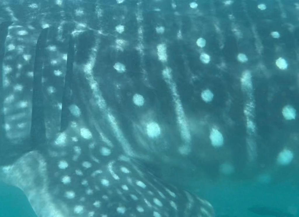 1973e462-c8cc-4b9f-b1cf-458e0be58d8c