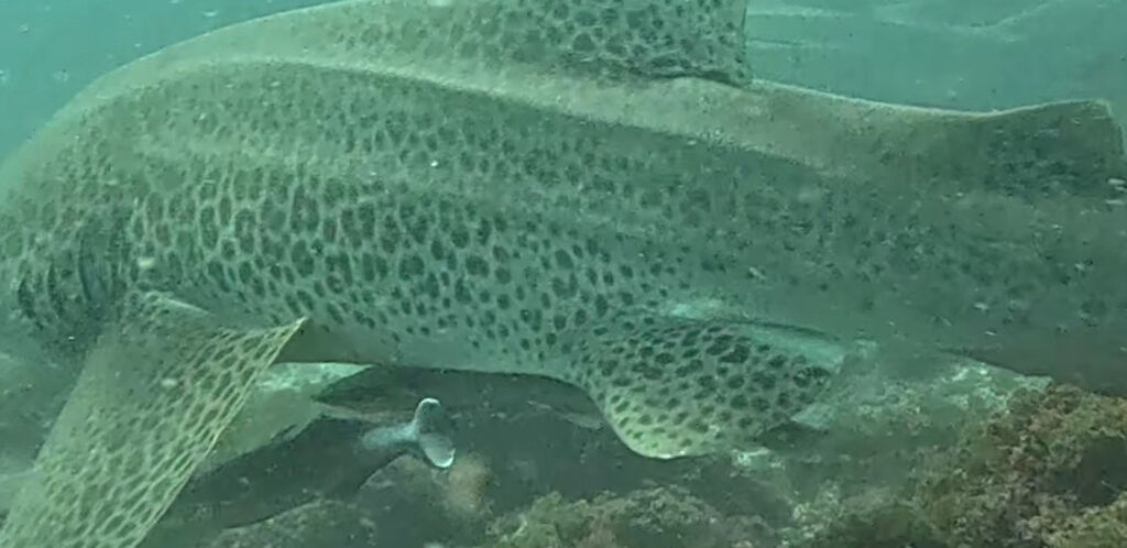 9d9a4794-451c-46ae-b77b-6b02fca96889