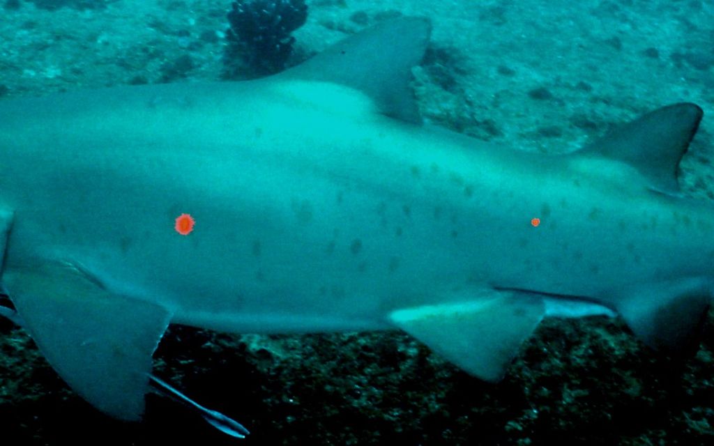 a2f29677-34ef-4051-8210-c57659a631af