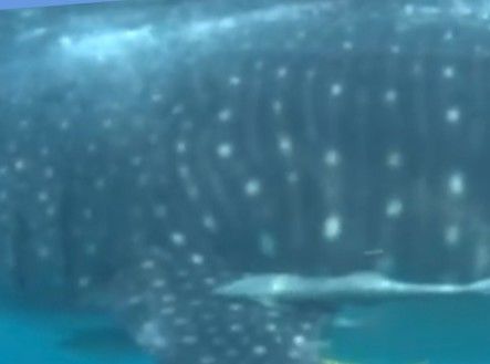 2d6328b9-910e-4ad6-95dd-abca42cb6bda