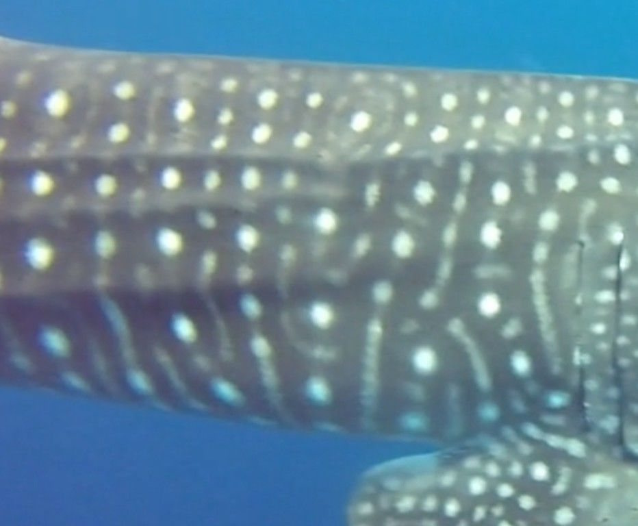 c28ce484-7348-4585-9a0a-972eceee92e7