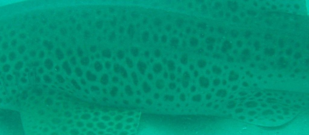 ceea2325-a09a-4b47-a599-c05194f47c6e