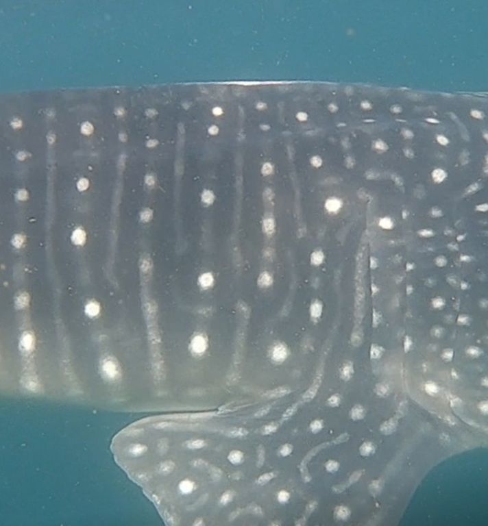 a6613573-ec3d-41bf-8e4f-322ce15cee4e