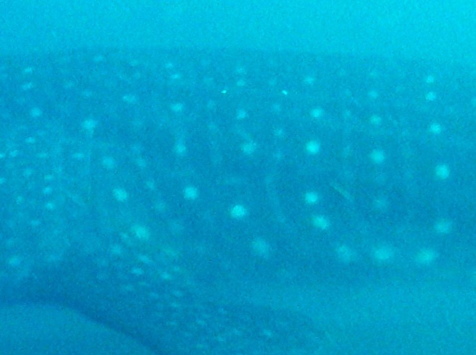 d6b46977-caed-4570-81d6-c06c54142f5b