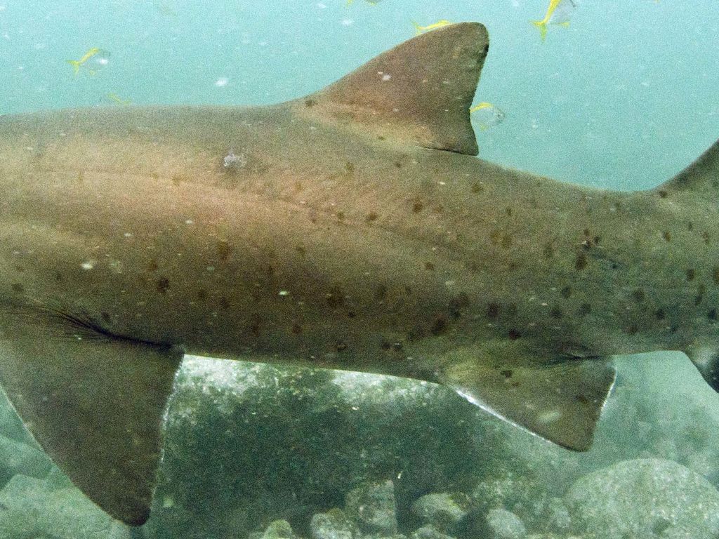 aaa085fc-9552-487e-ad2d-41260cbb1fa2