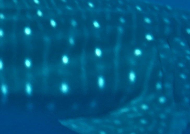 ee9dd34d-1b91-4460-b476-36c1fd1ae14e