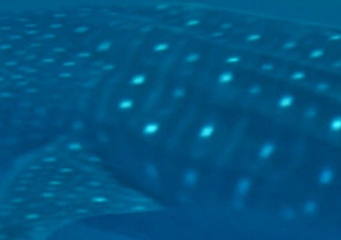 ee9dd34d-1b91-4460-b476-36c1fd1ae14e