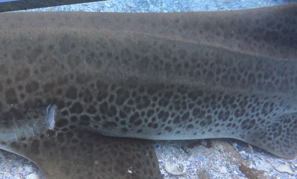 183bf286-fbc0-407b-bfce-f009884efc3d