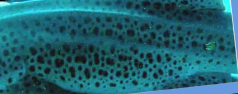 71d49ab9-c9e5-4a59-ab7a-79360b4d2a40