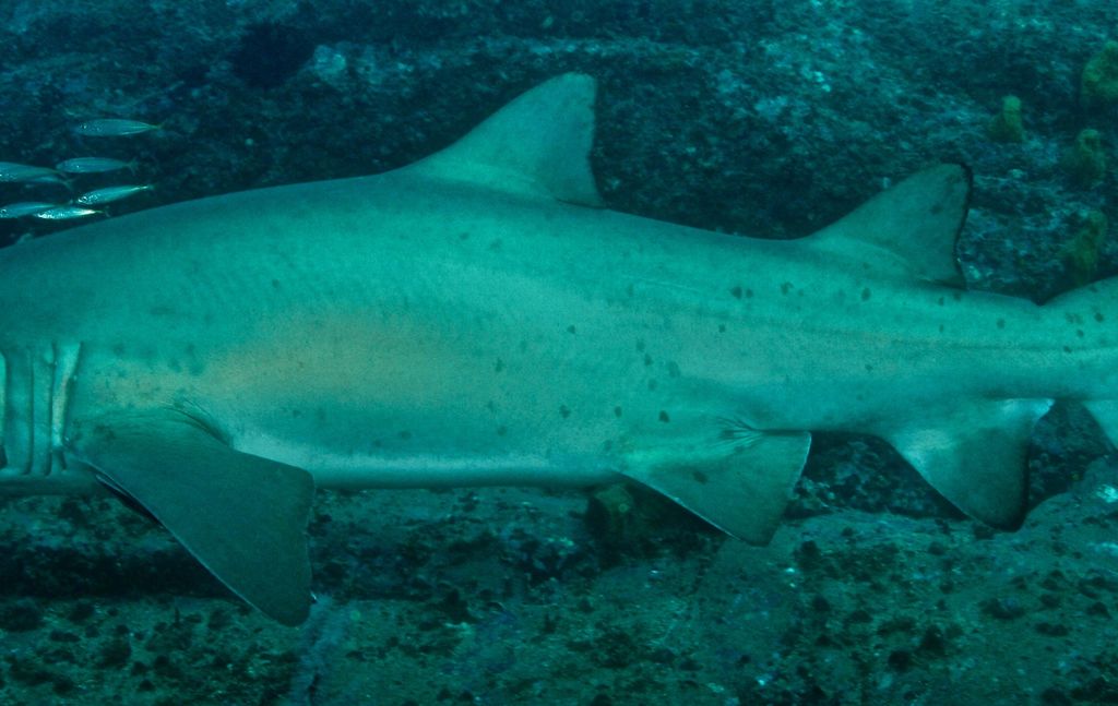 82a5db5c-7da6-48a5-8107-738fc8ef7b7c