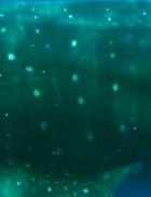 fba50e5f-2445-4186-aedc-984ed798ad89