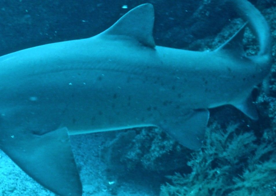 986ea6ba-72e0-4dc5-bda9-4567c5a47fba