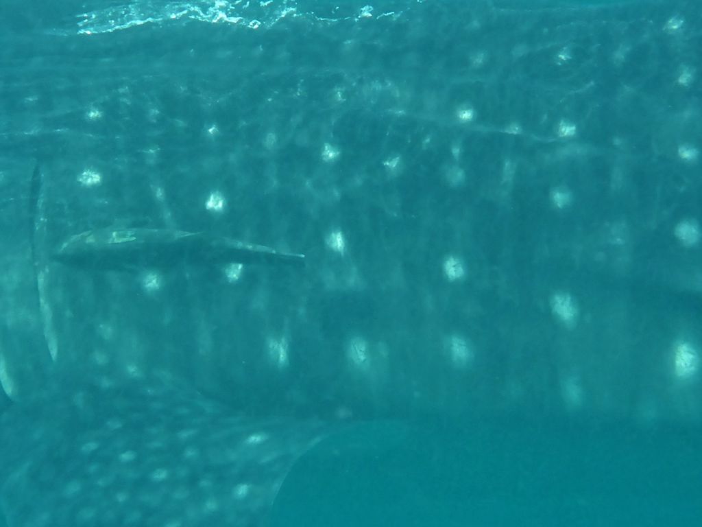 465d53b2-639b-4ffc-81db-580d6e8caee0