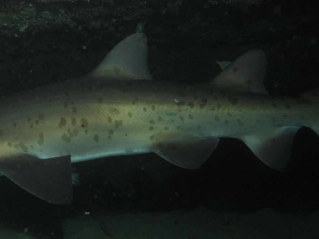 ddba37f3-a79f-42f9-bd9a-453df247820b