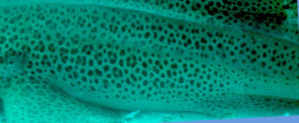 3f4db087-ee1d-4ea4-8ca3-9aebcc84ec66