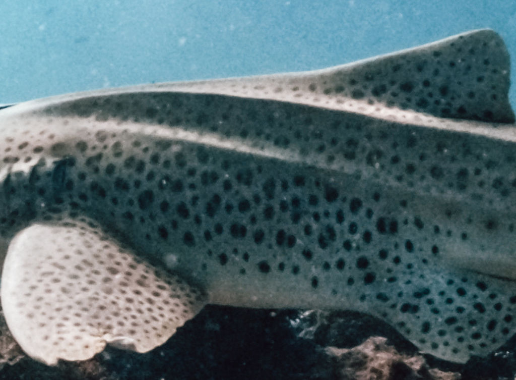 60541f60-c045-4cfa-96cd-18b600fb25f9