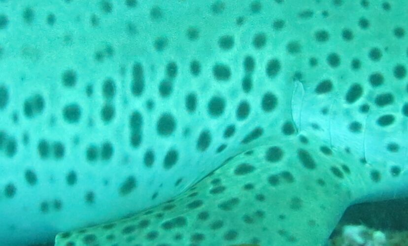 aaa8023f-c2b1-469a-a45b-2e9b7a399643