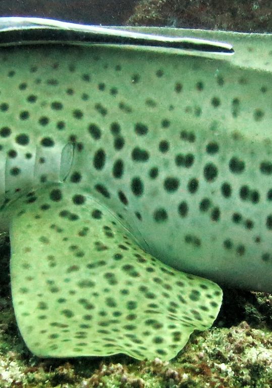 aaa8023f-c2b1-469a-a45b-2e9b7a399643