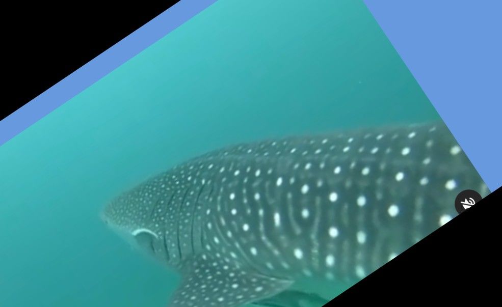 7a79daa2-a7b0-4c09-ade2-faab01841c97