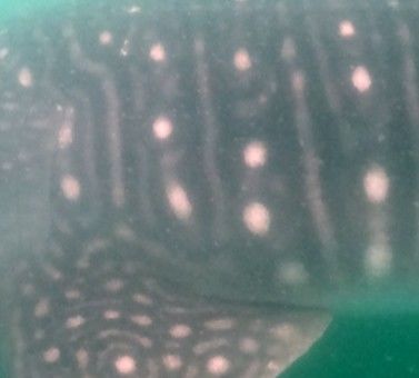 f2ff32ed-ea0a-4864-aa4e-139c1ae80187