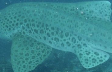 547c47e7-9133-4dc3-a432-b64d11e58686