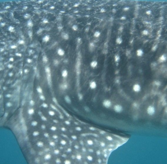 2dad5e7b-b647-4a1a-8471-eaed282c3eab