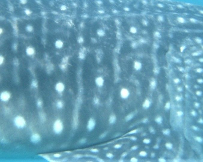 2dad5e7b-b647-4a1a-8471-eaed282c3eab