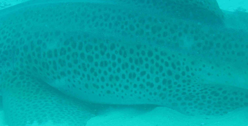 5756ae0d-e7fa-4efc-81a9-f6e62153d670