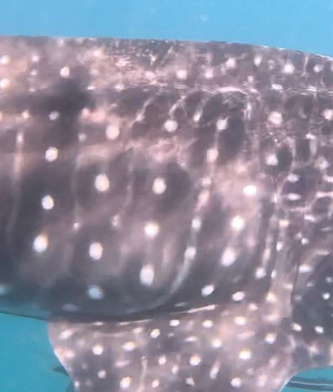 e12a9459-7afc-436c-a4ab-0f400b0b27e9