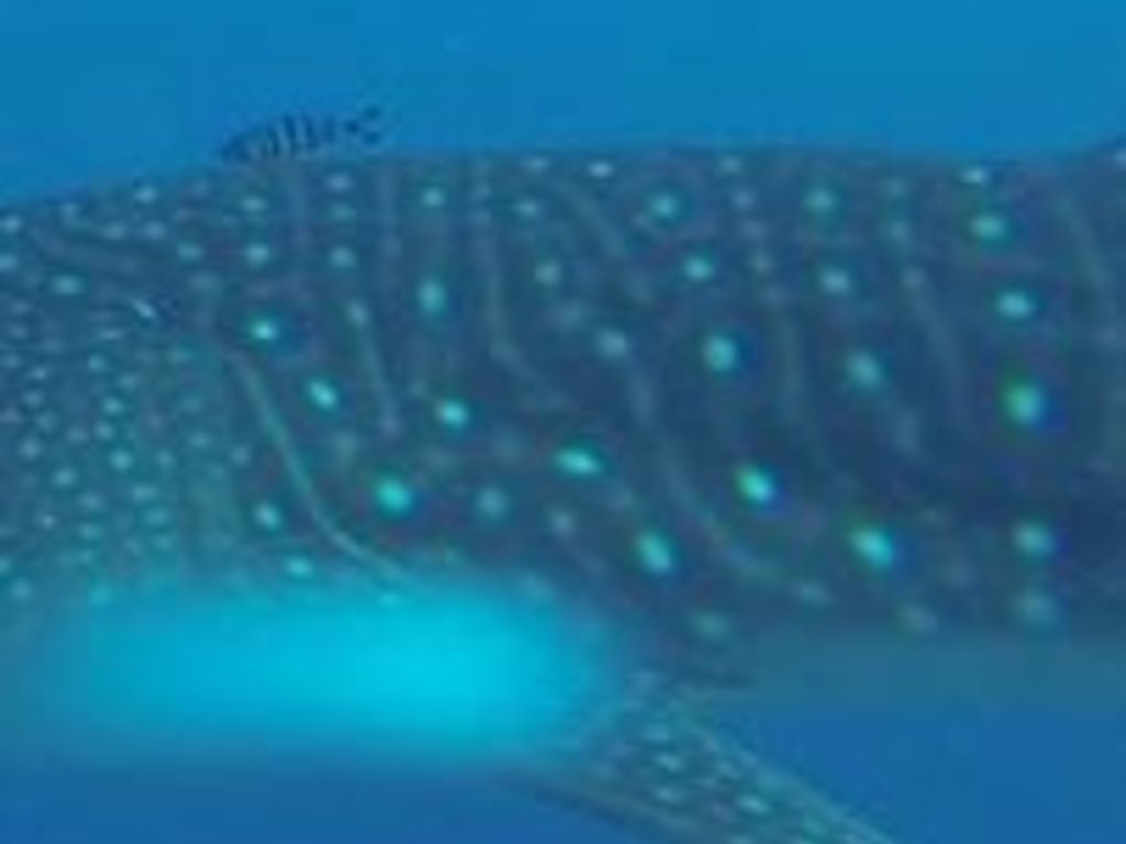 1ee334ad-c61b-44aa-9cd7-a7a4d131a1cd