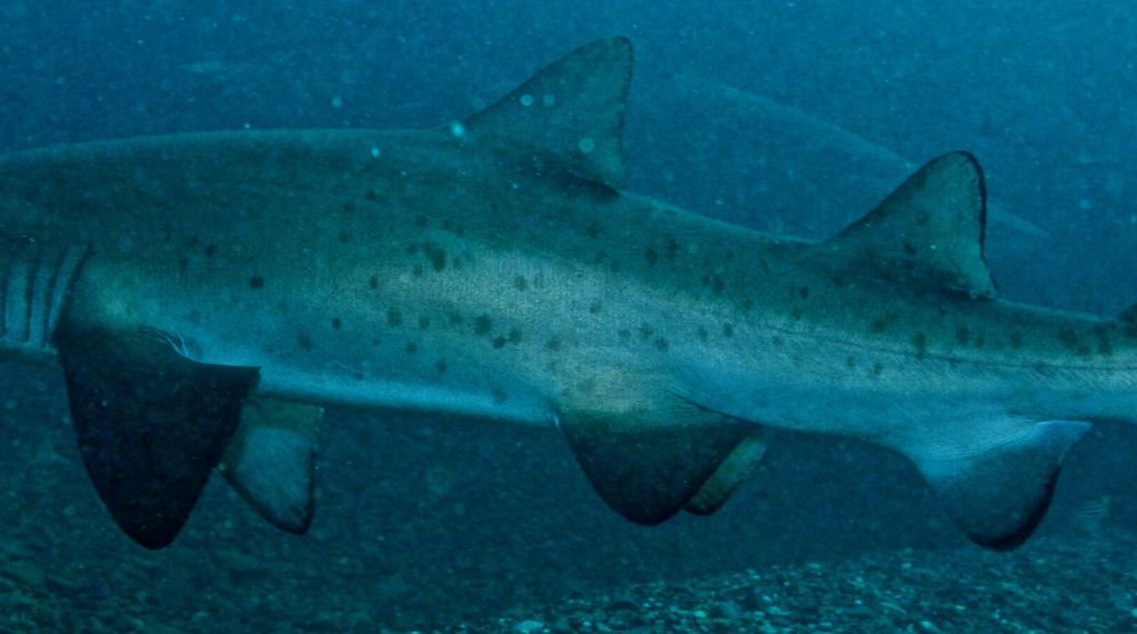 1bd7d400-f48d-49d7-a0d0-b65ca2cec99b