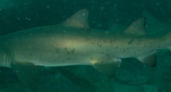 b6b307af-0cb7-4fa0-980a-34b240fc91a3