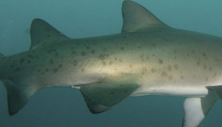 501d302a-12ae-44ab-8519-8d607683537b