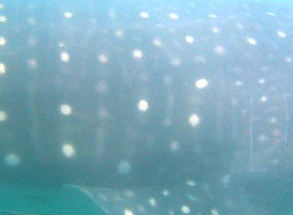 f6d48b70-19a7-4d66-a680-2e1e053a3d5b