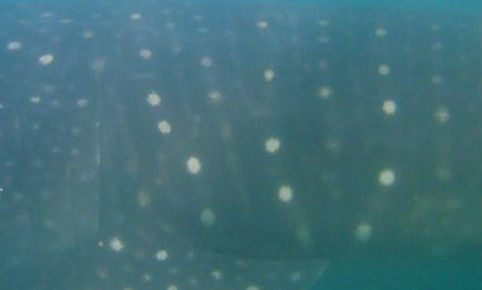 f6d48b70-19a7-4d66-a680-2e1e053a3d5b