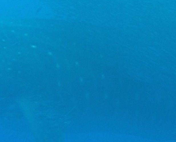 9195689d-0791-47cf-8921-a246fb656818