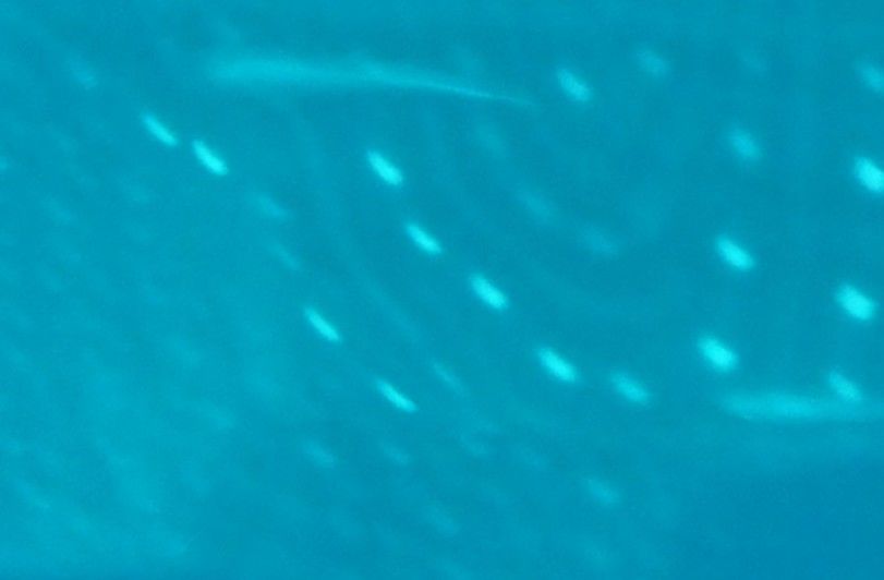 6c0e9d44-37a8-4e38-be1a-967d445ec724