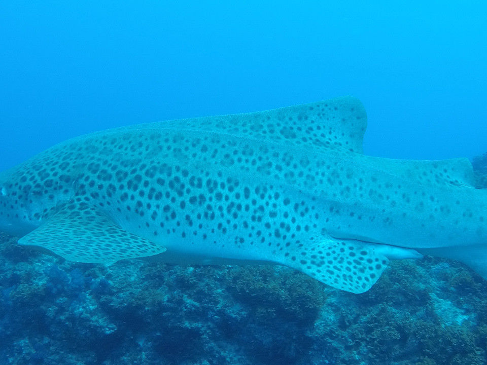 c11e34db-3108-420a-985d-1913a5b9de32