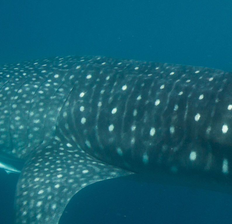 17405f23-0cd0-4857-9681-7ec9a682888c