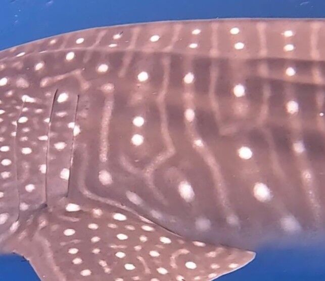 73108e94-df91-487f-b0d6-214b4fd987ae