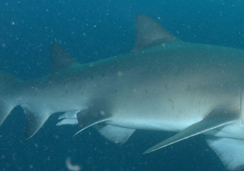 cdeb374d-7294-4c38-ba2e-50d494e60b1f