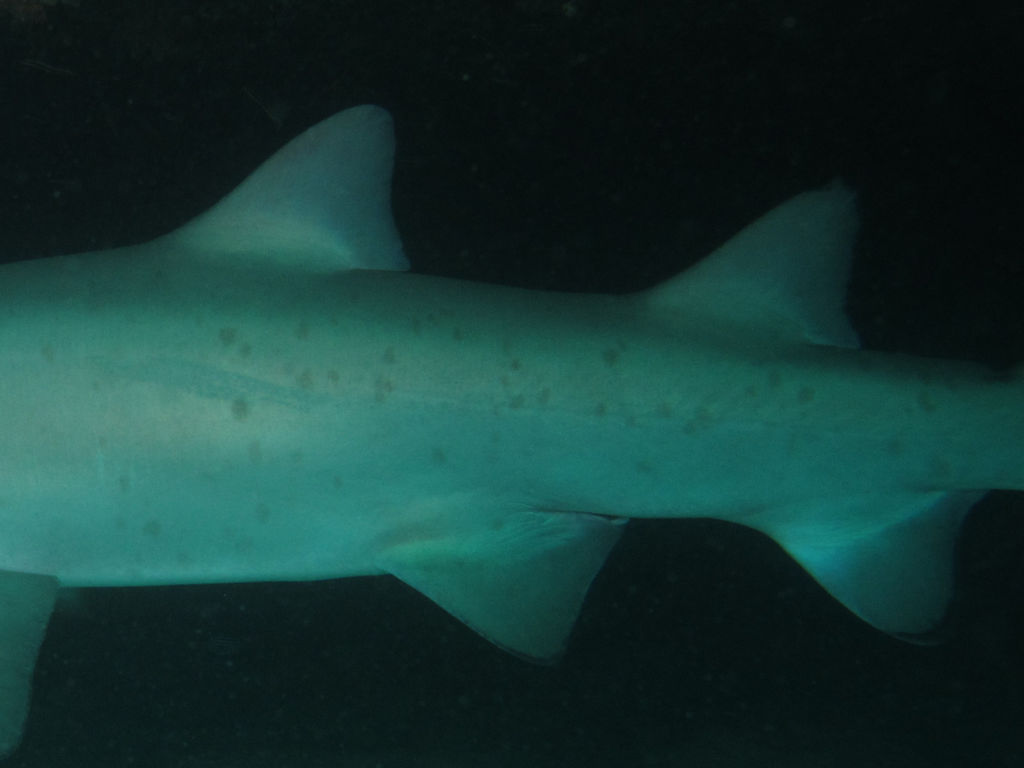 2ef3f4ad-c586-4db4-a655-6f367c9ec81e