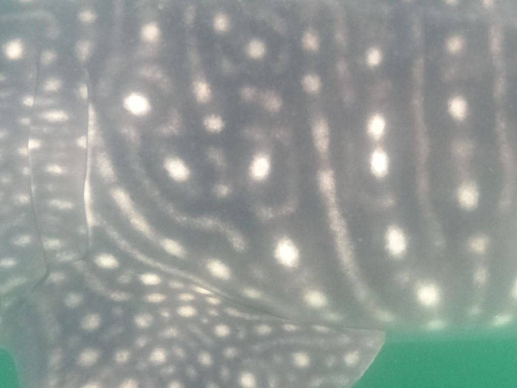 132aa094-db00-4b12-b9c5-17763a4c453d