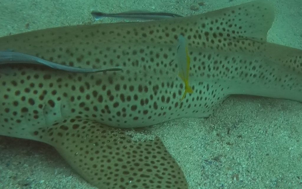 d6448b2d-5490-40c0-aa3f-35d8b6ecc49b