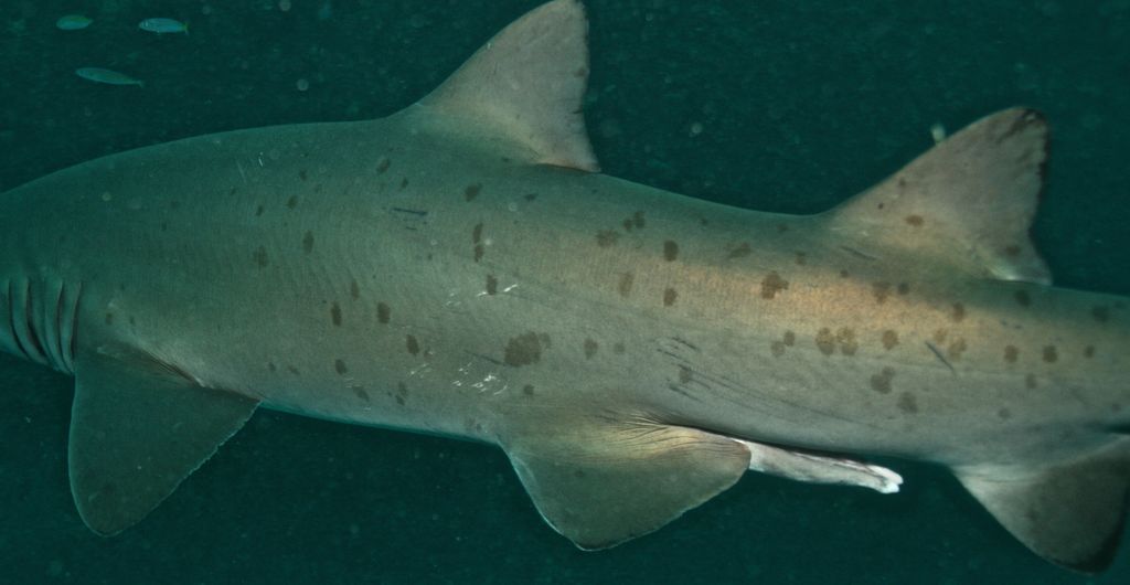 74006316-7bed-4b32-86f7-bc2e05a70c57