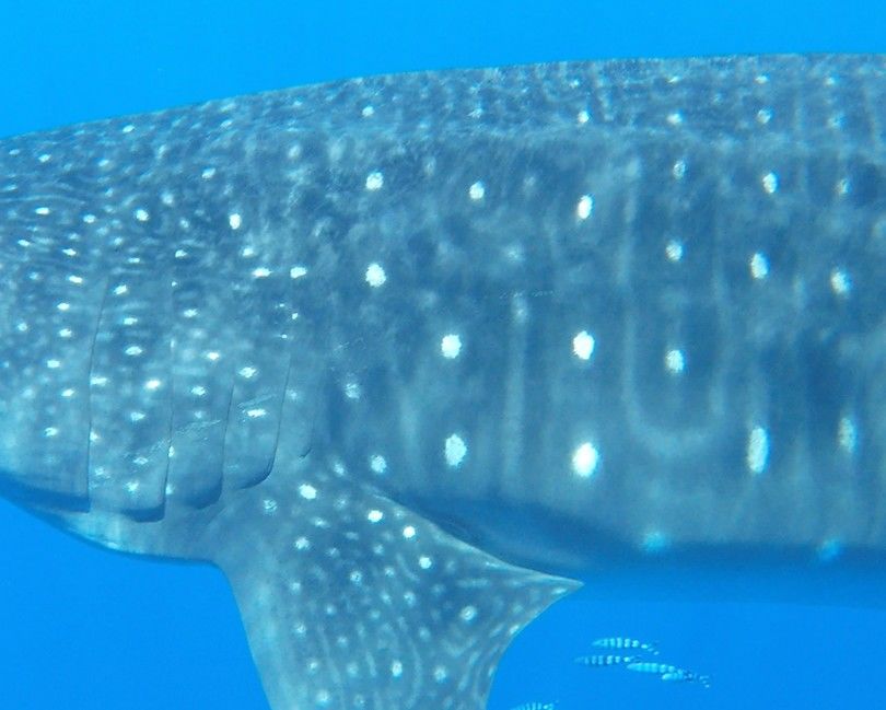 3cda9073-4e8e-4c8d-a087-f0bea737f31a