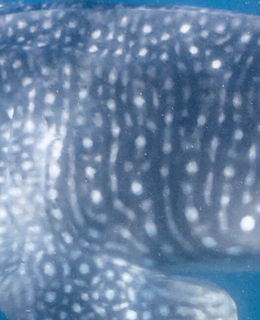 26a89fa0-ef44-4294-923c-660347df0ef2