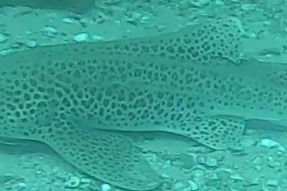 a8fbd478-8d07-47a3-9147-3ea985fbd342