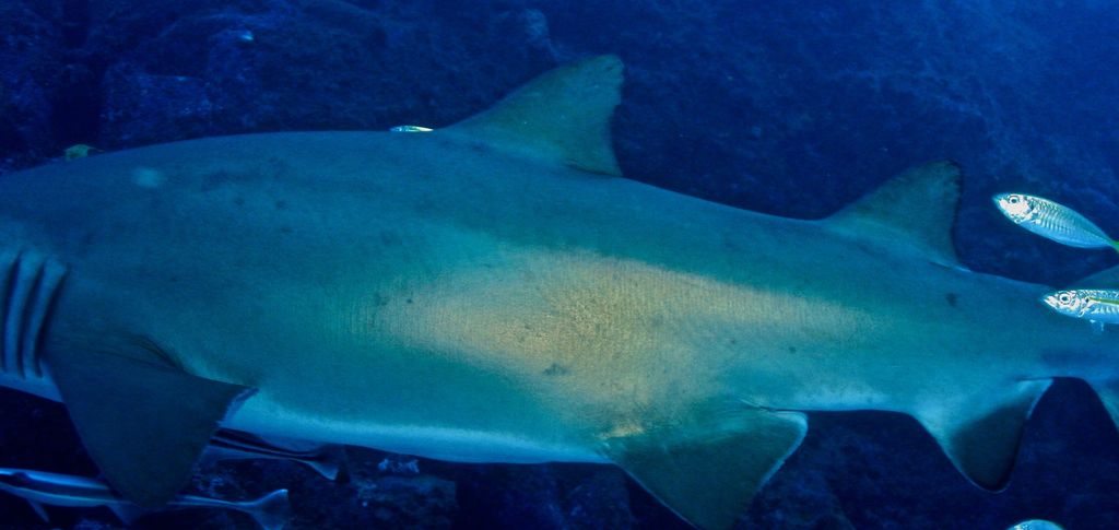 37dfc68e-627e-4393-807d-e5a7683a3373