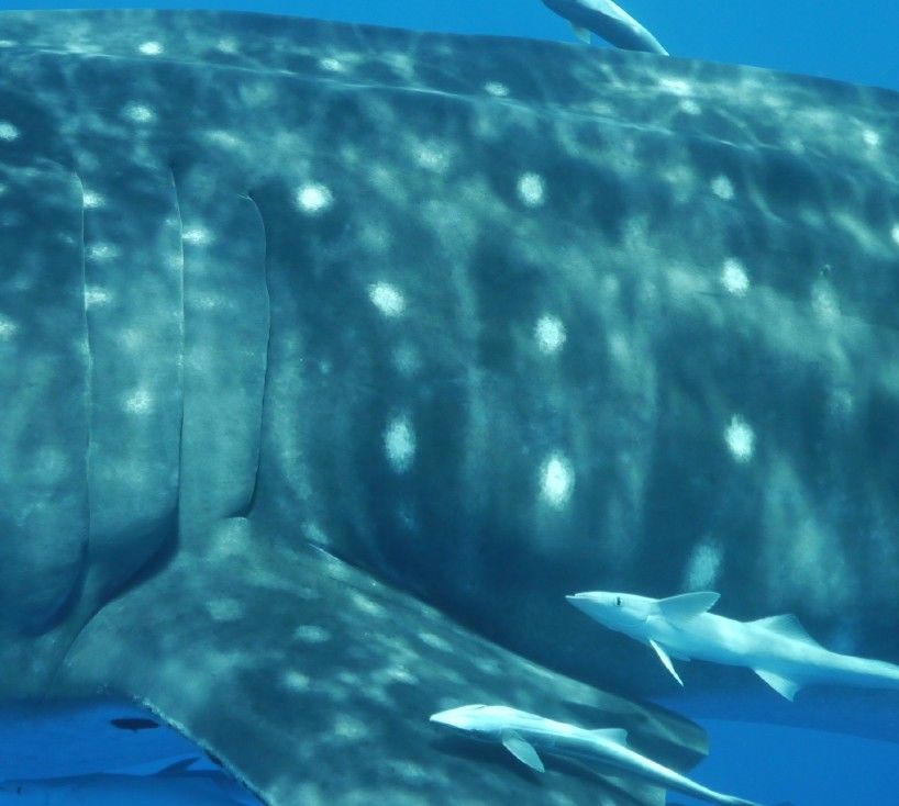 ab917e40-d76b-432d-8de7-1343b056a09d